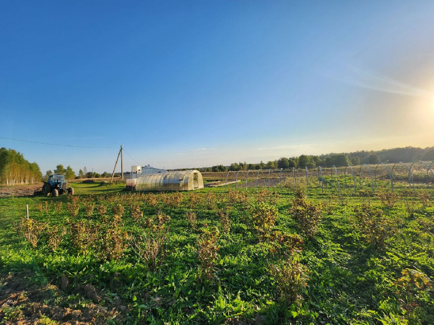можайск, можайский городской округ, подмосковье, сельское хозяйство, Агростартап, гранд, целевой гранд, министерства сельского хозяйства и продовольствия Подмосковья, поддержка КФХ, крестьянско-фермерское хозяйство,