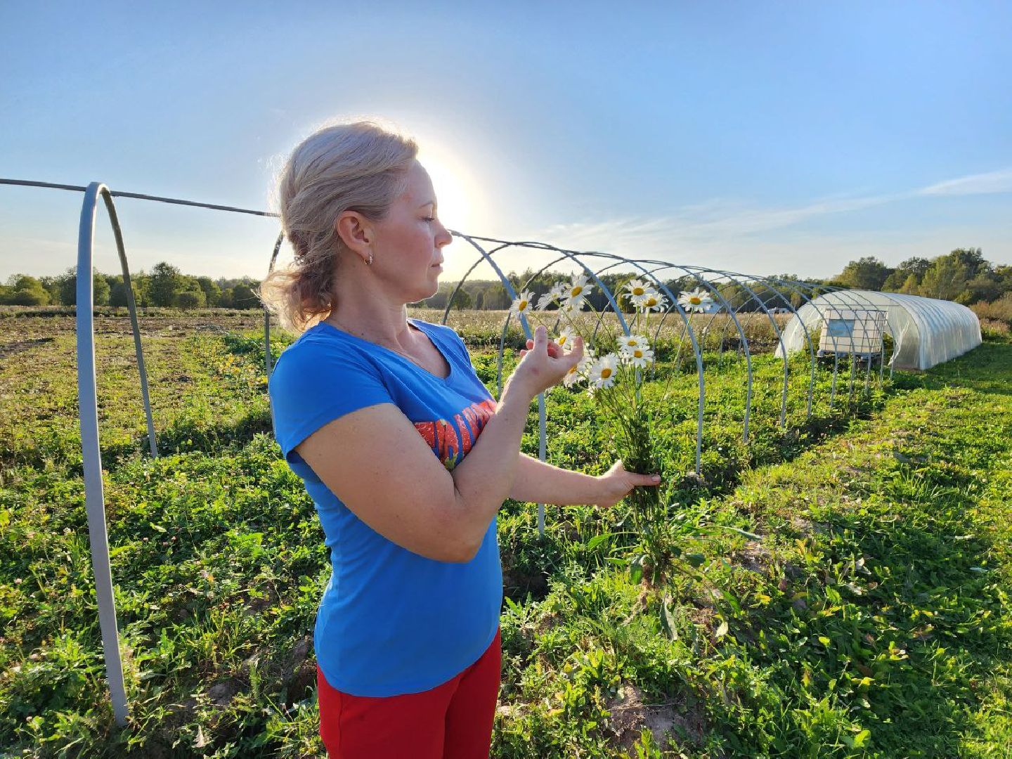 можайск, можайский городской округ, подмосковье, сельское хозяйство, Агростартап, гранд, целевой гранд, министерства сельского хозяйства и продовольствия Подмосковья, поддержка КФХ, крестьянско-фермерское хозяйство,