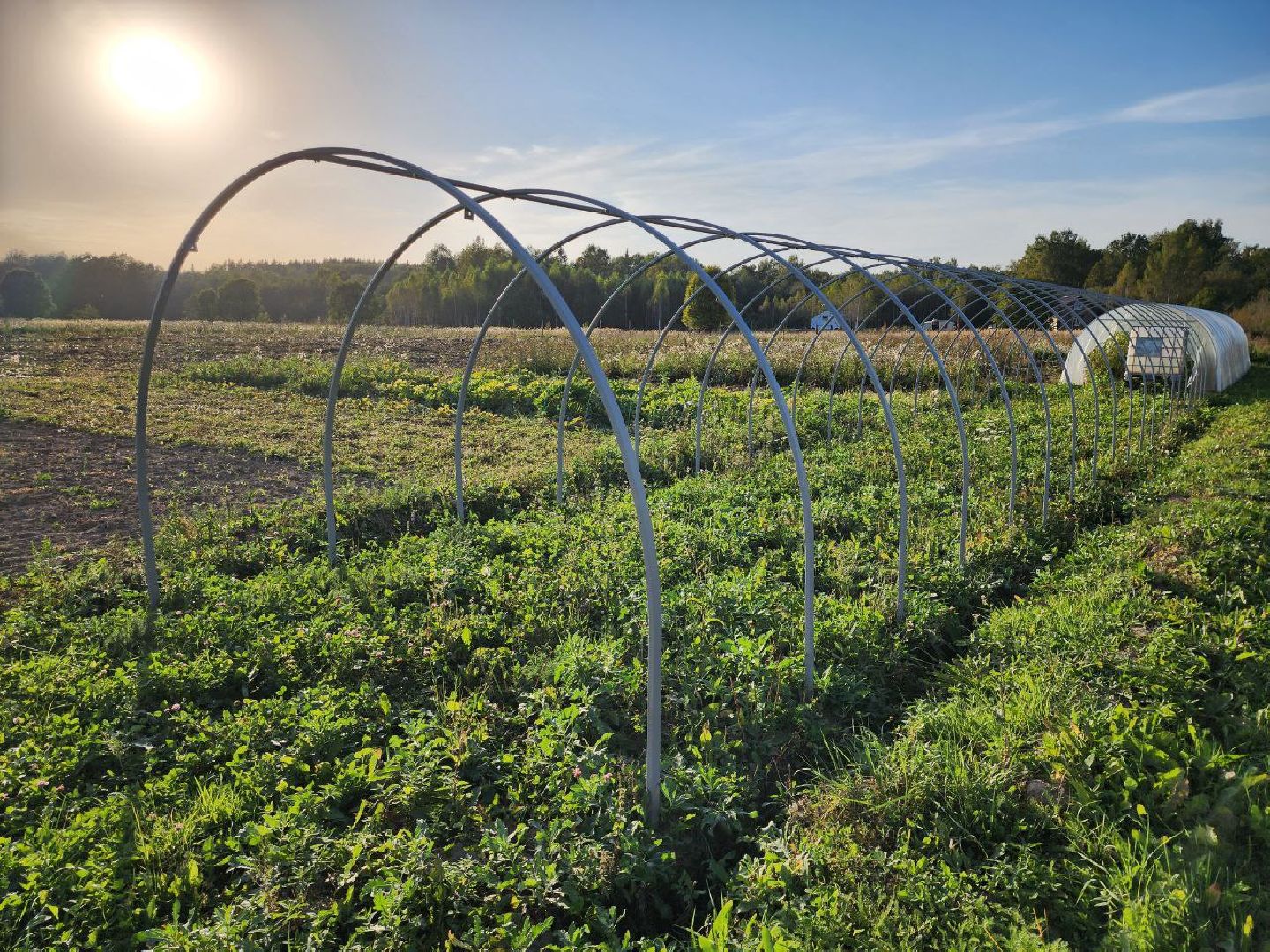 можайск, можайский городской округ, подмосковье, сельское хозяйство, Агростартап, гранд, целевой гранд, министерства сельского хозяйства и продовольствия Подмосковья, поддержка КФХ, крестьянско-фермерское хозяйство,