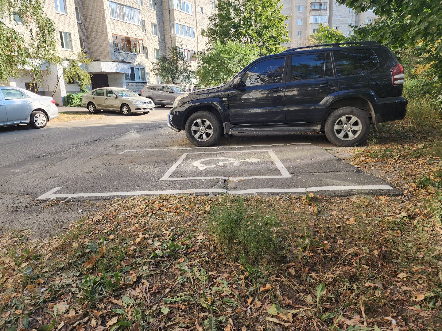 Черноголовка, Дороги, Дорожная разметка, Парковки,