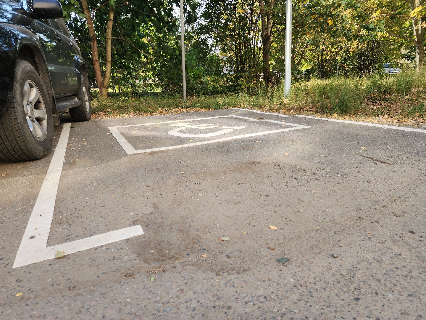 Черноголовка, Дороги, Дорожная разметка, Парковки,