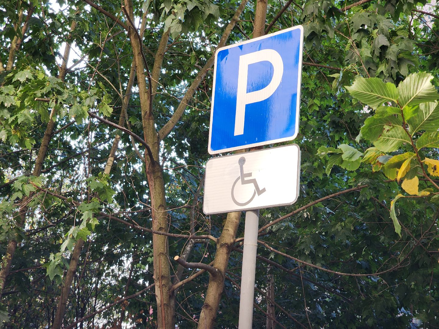 Черноголовка, Дороги, Дорожная разметка, Парковки,