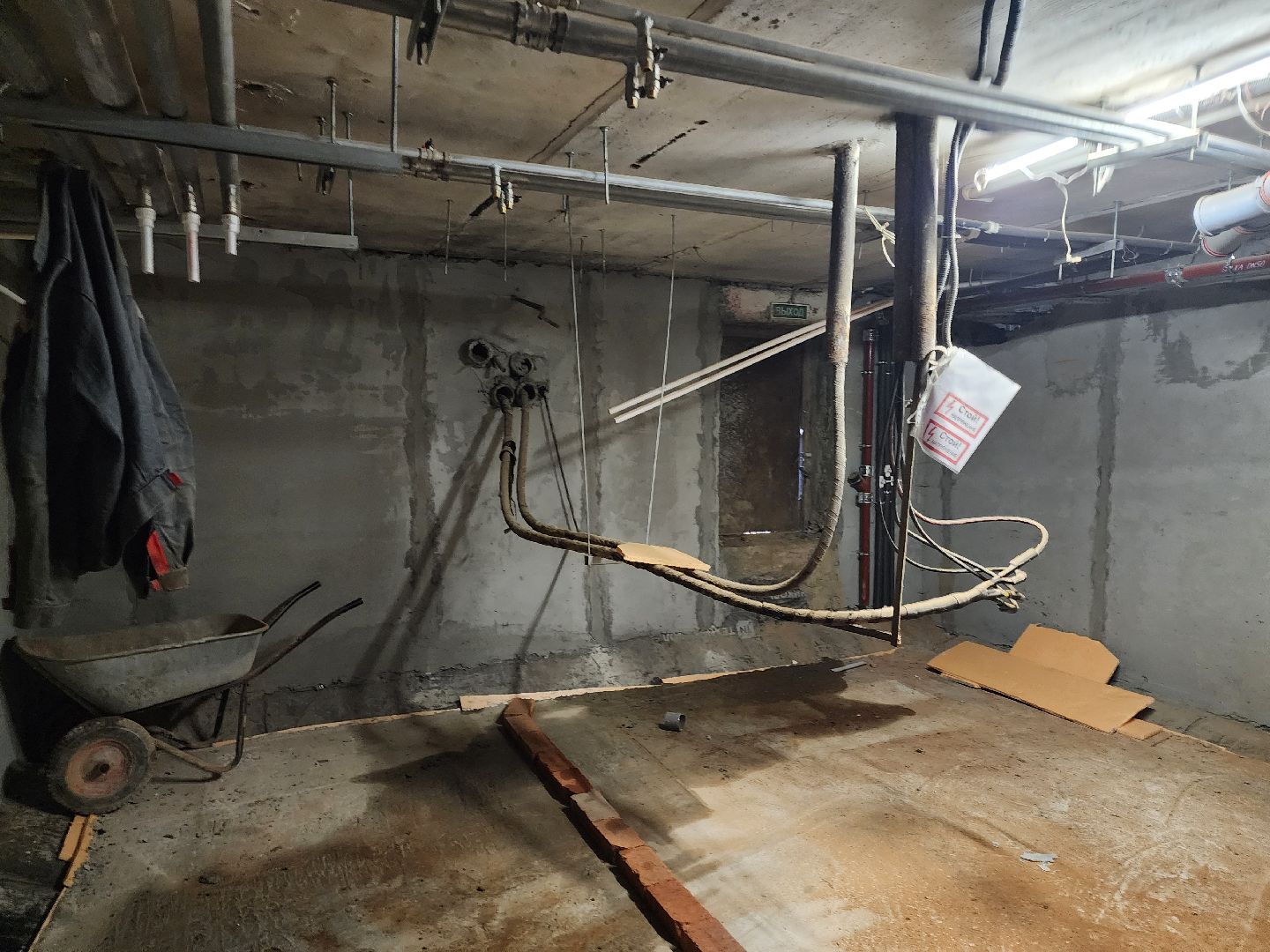 медицина, химки,