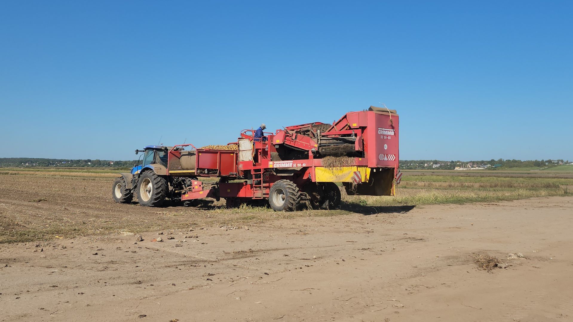 серпухов, ао дашковка, сельское хозяйство, уборка овощей, сбор урожая,