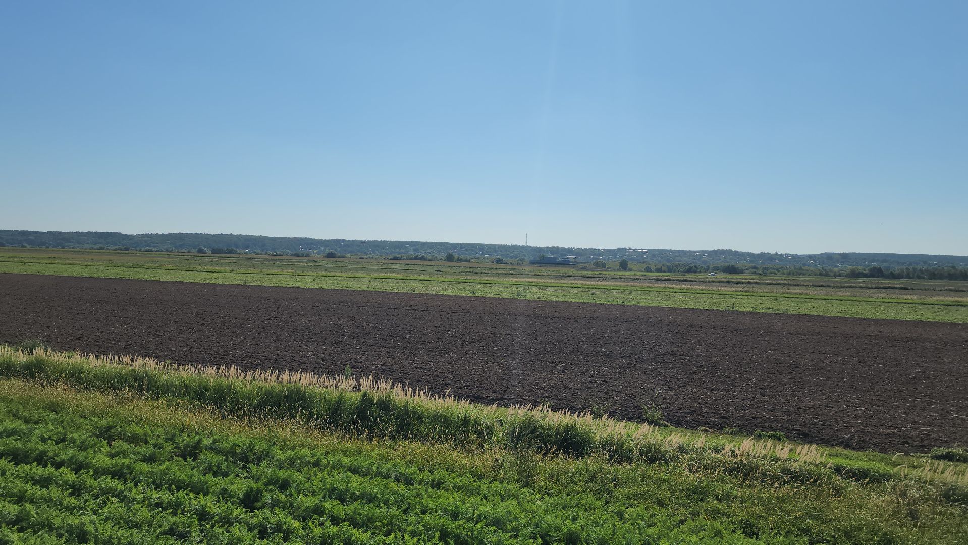 серпухов, ао дашковка, сельское хозяйство, уборка овощей, сбор урожая,