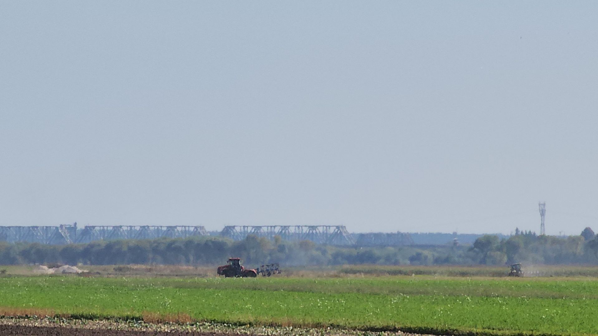 серпухов, ао дашковка, сельское хозяйство, уборка овощей, сбор урожая,