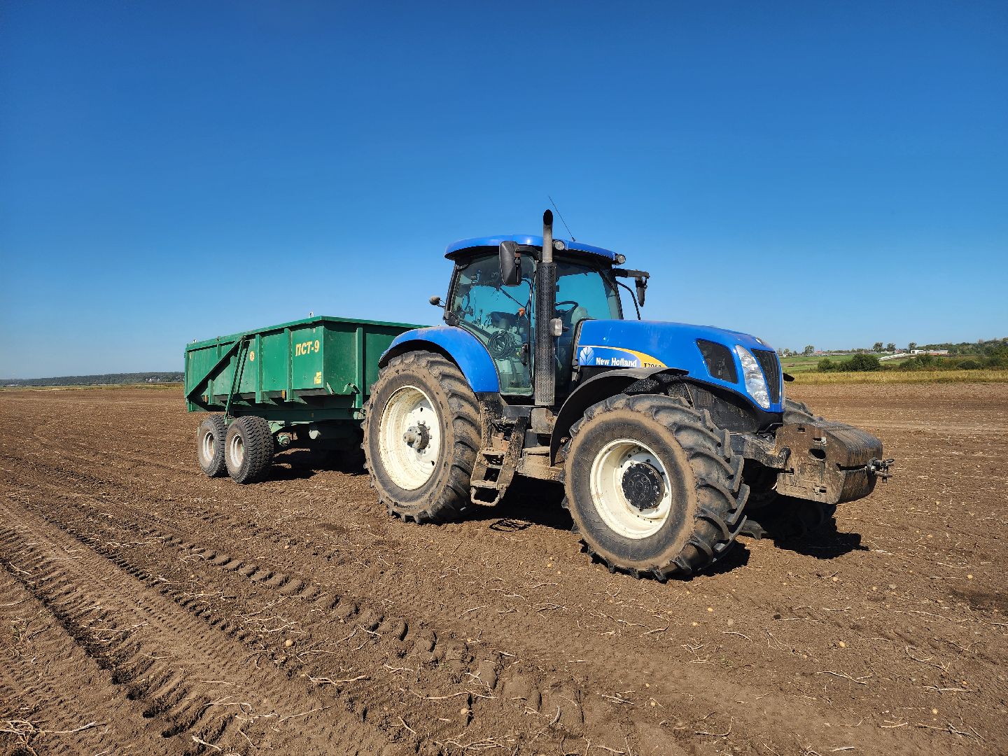 серпухов, ао дашковка, сельское хозяйство, уборка овощей, сбор урожая,