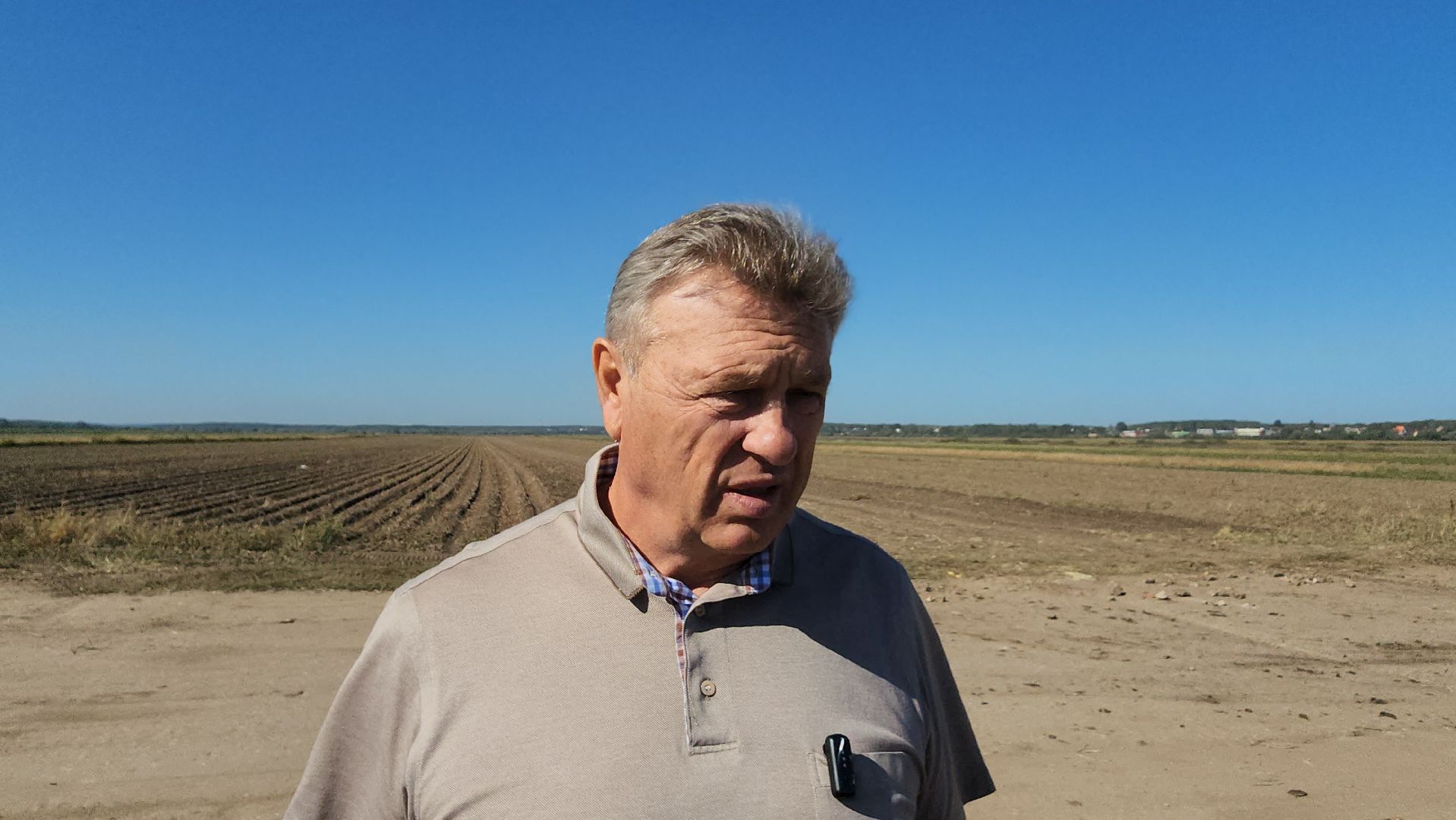 серпухов, ао дашковка, сельское хозяйство, уборка овощей, сбор урожая,