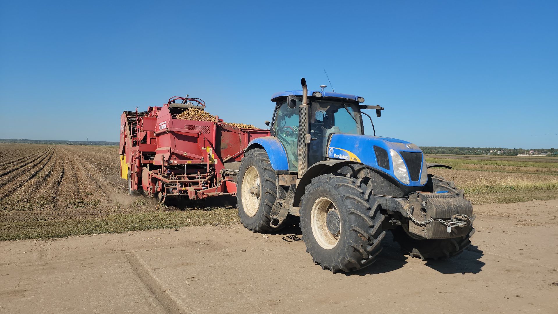 серпухов, ао дашковка, сельское хозяйство, уборка овощей, сбор урожая,