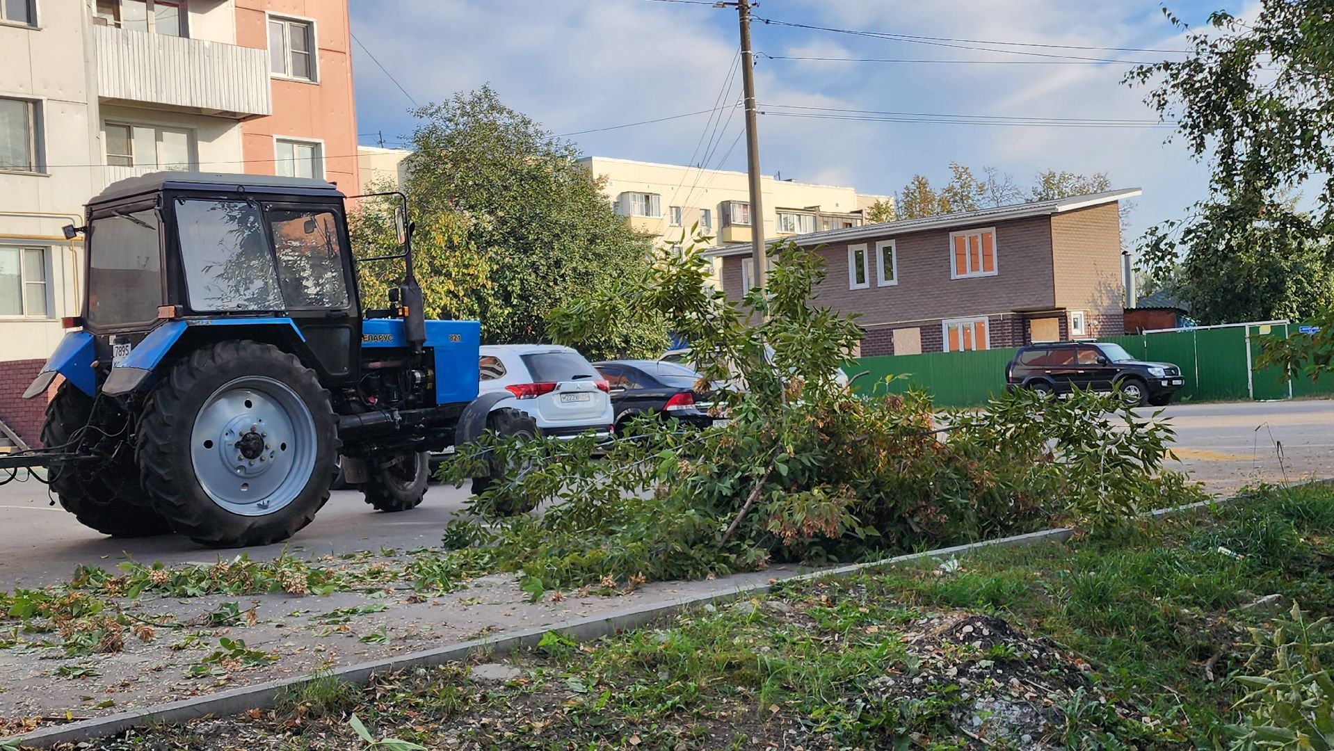 Бронницы, Опиловка деревьев, Благоустройство, мбу благоустройство,