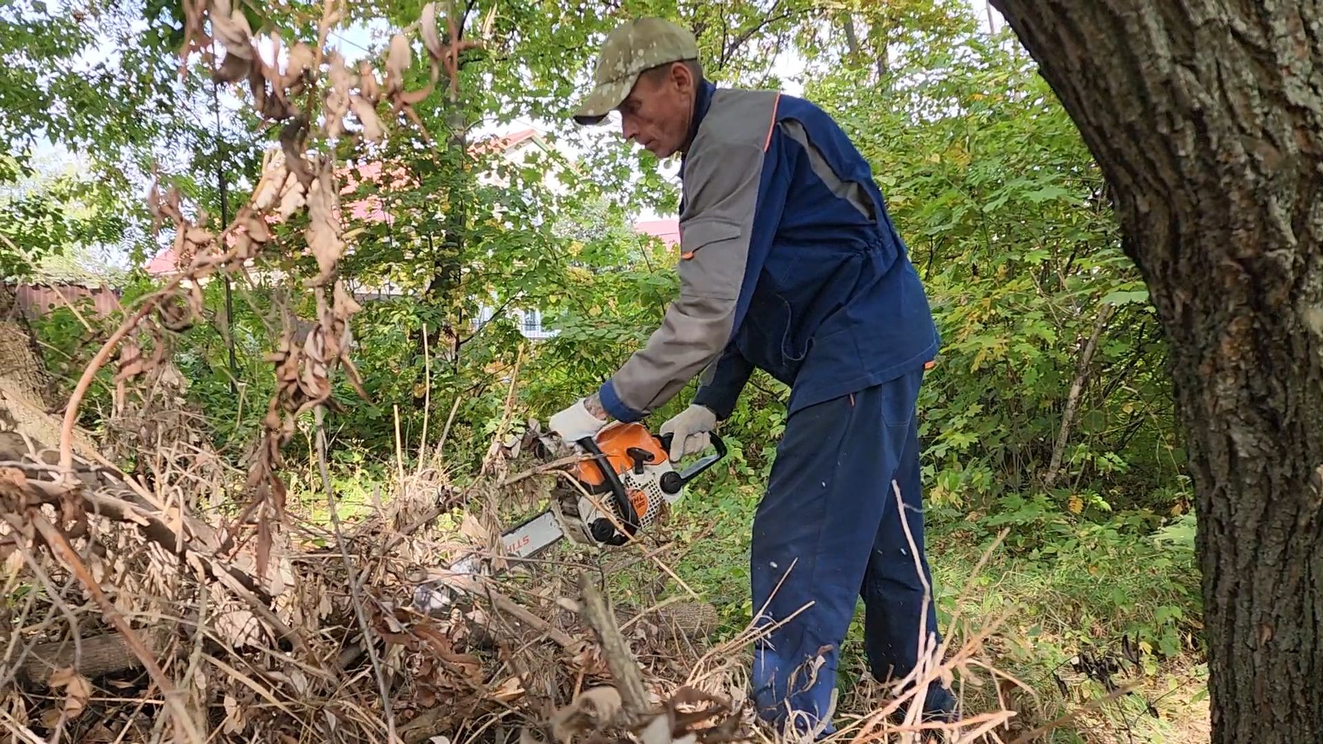 Бронницы, Опиловка деревьев, Благоустройство, мбу благоустройство,
