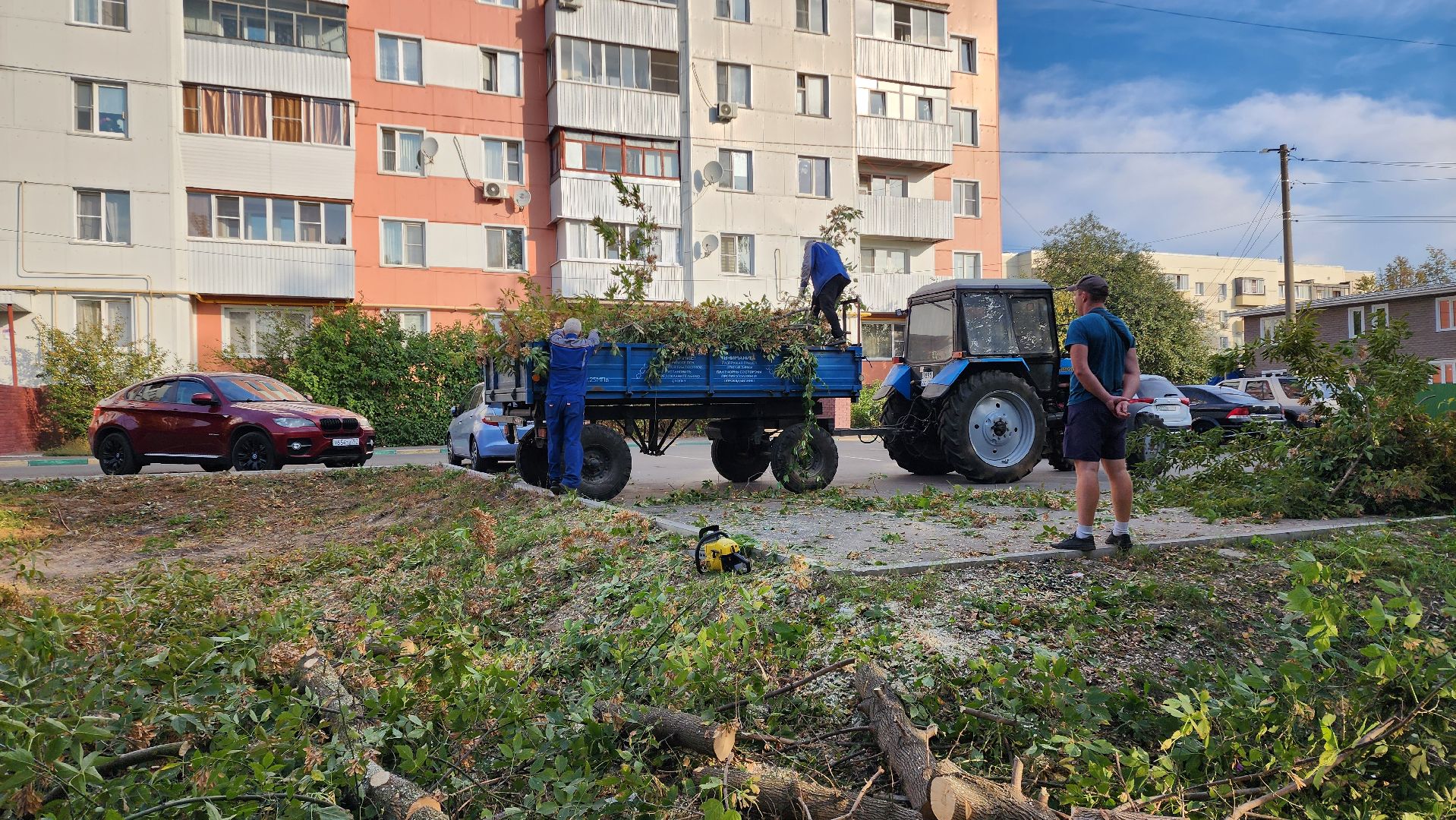 Бронницы, Опиловка деревьев, Благоустройство, мбу благоустройство,