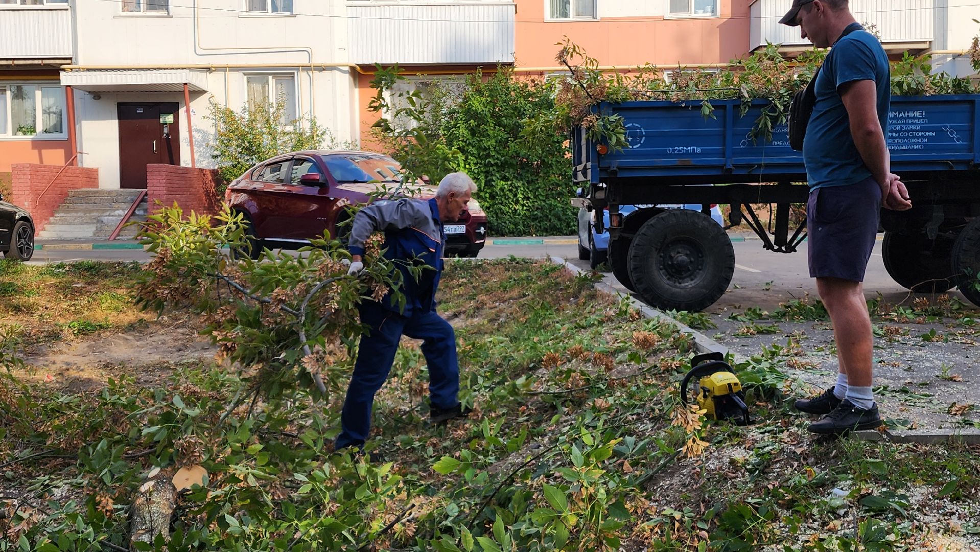 Бронницы, Опиловка деревьев, Благоустройство, мбу благоустройство,