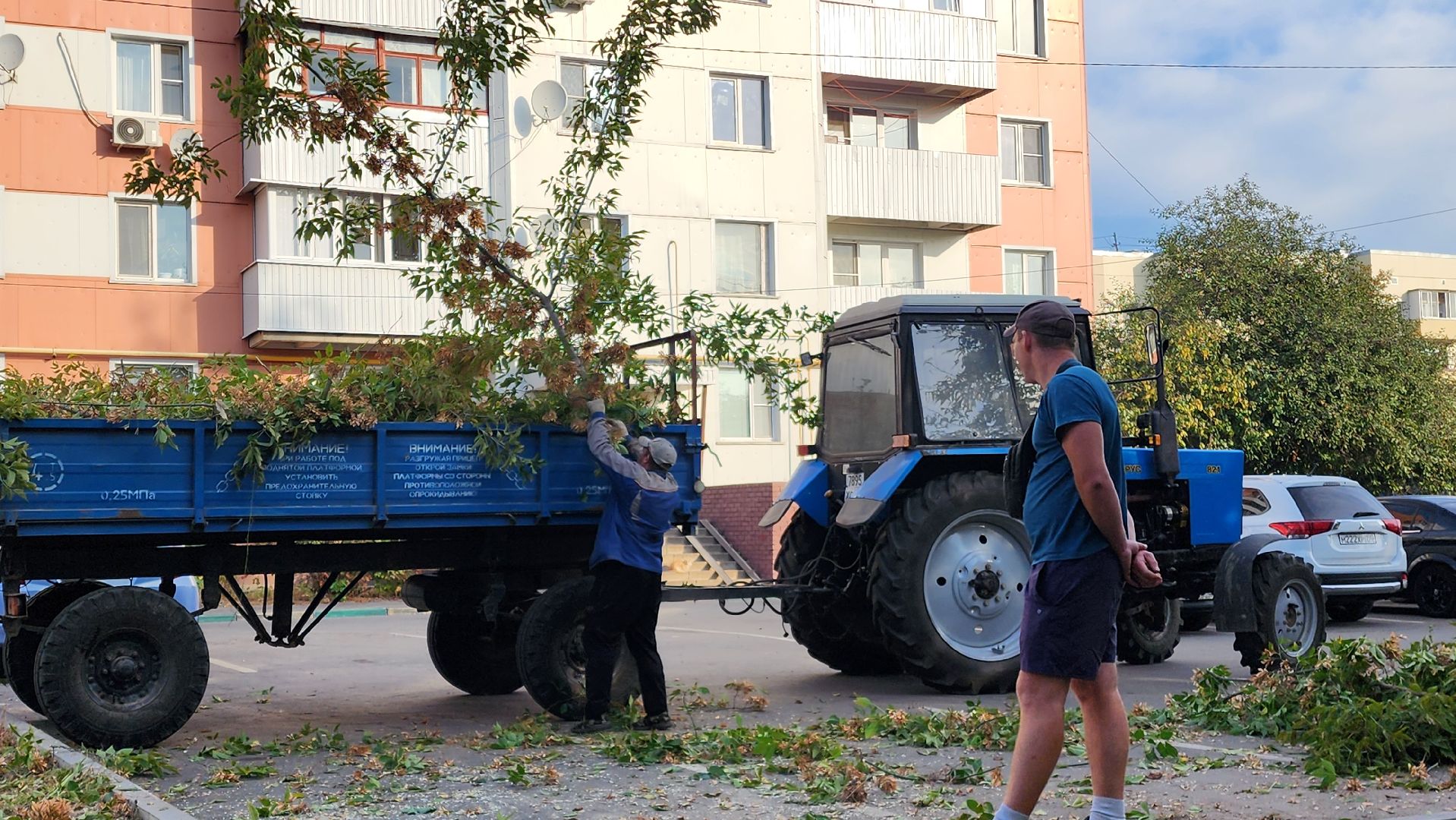 Бронницы, Опиловка деревьев, Благоустройство, мбу благоустройство,