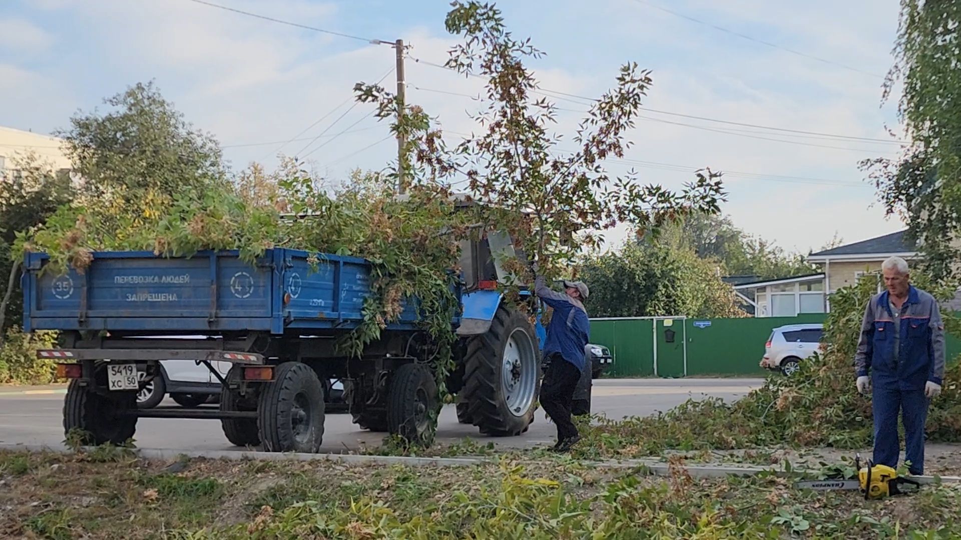 Бронницы, Опиловка деревьев, Благоустройство, мбу благоустройство,