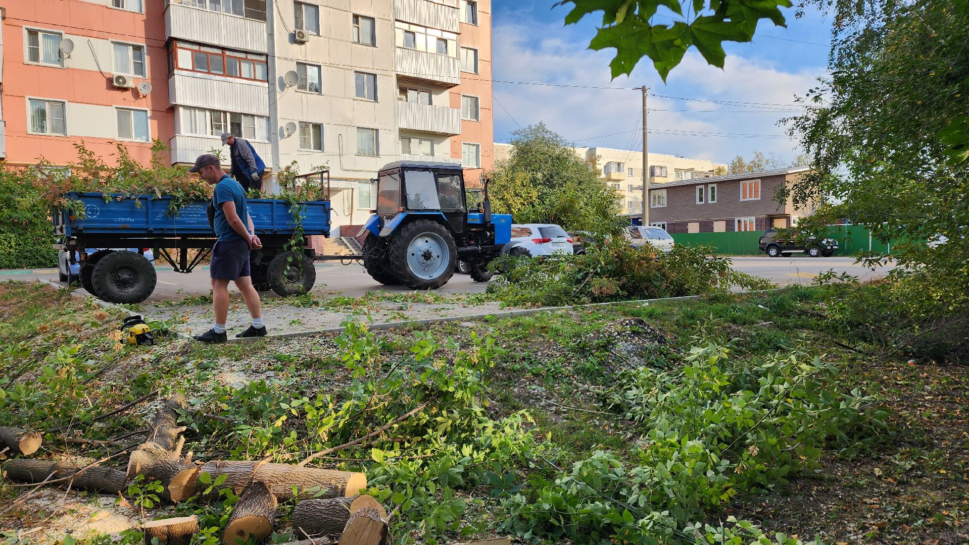 Бронницы, Опиловка деревьев, Благоустройство, мбу благоустройство,