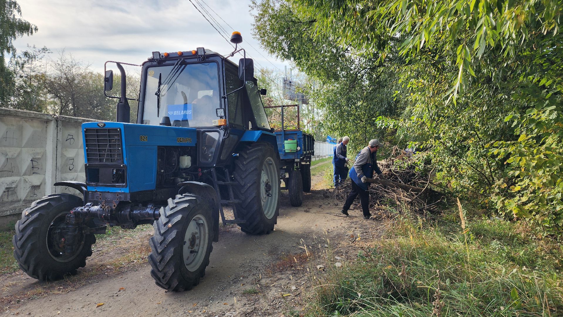 Бронницы, Опиловка деревьев, Благоустройство, мбу благоустройство,