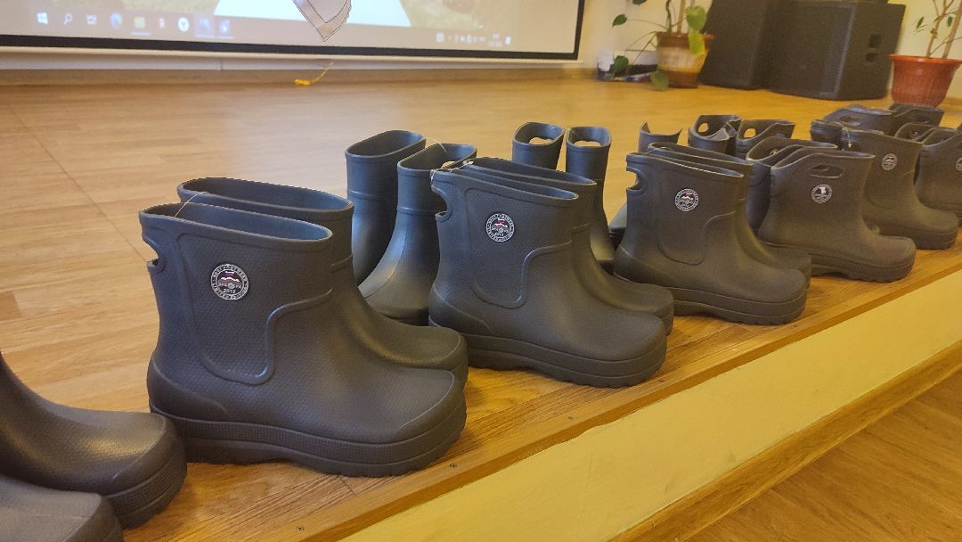 Кашира, общество