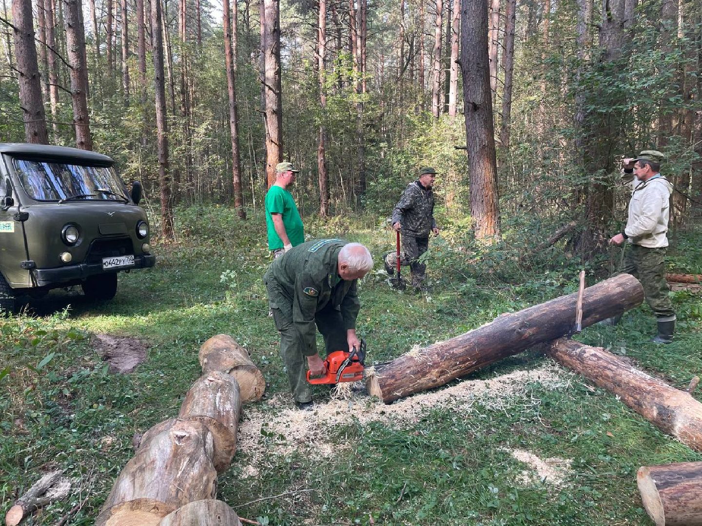Дмитров, Акция День в лесу, Орудьевское школьное лесничество,