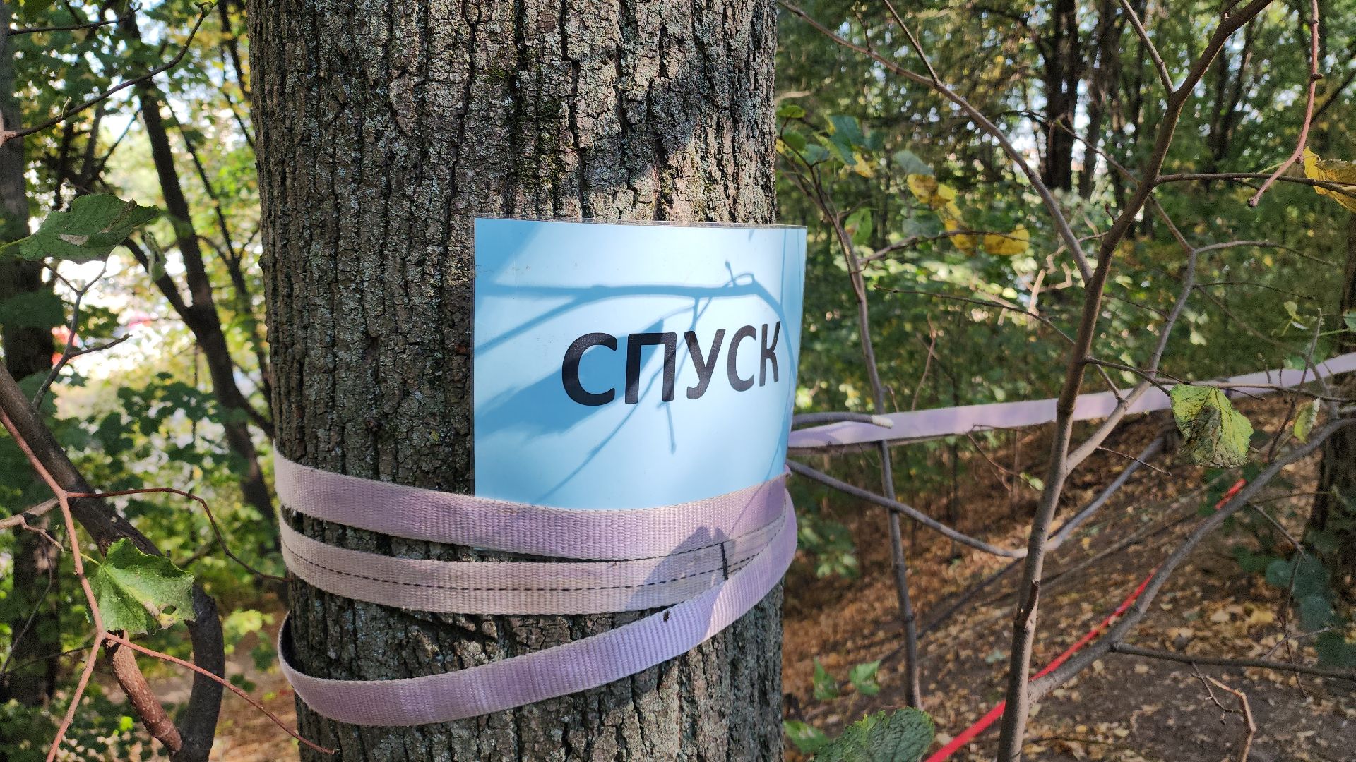 спорт, туризм, химки,