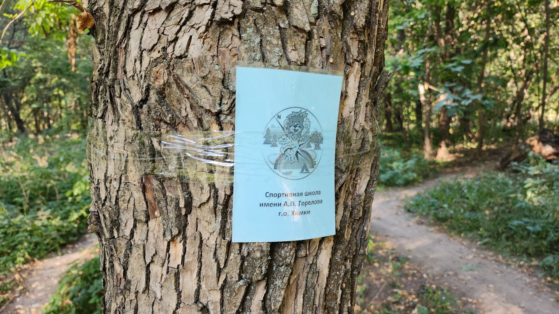 спорт, туризм, химки,