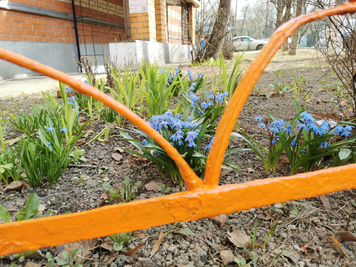 благоустройство, субботник,