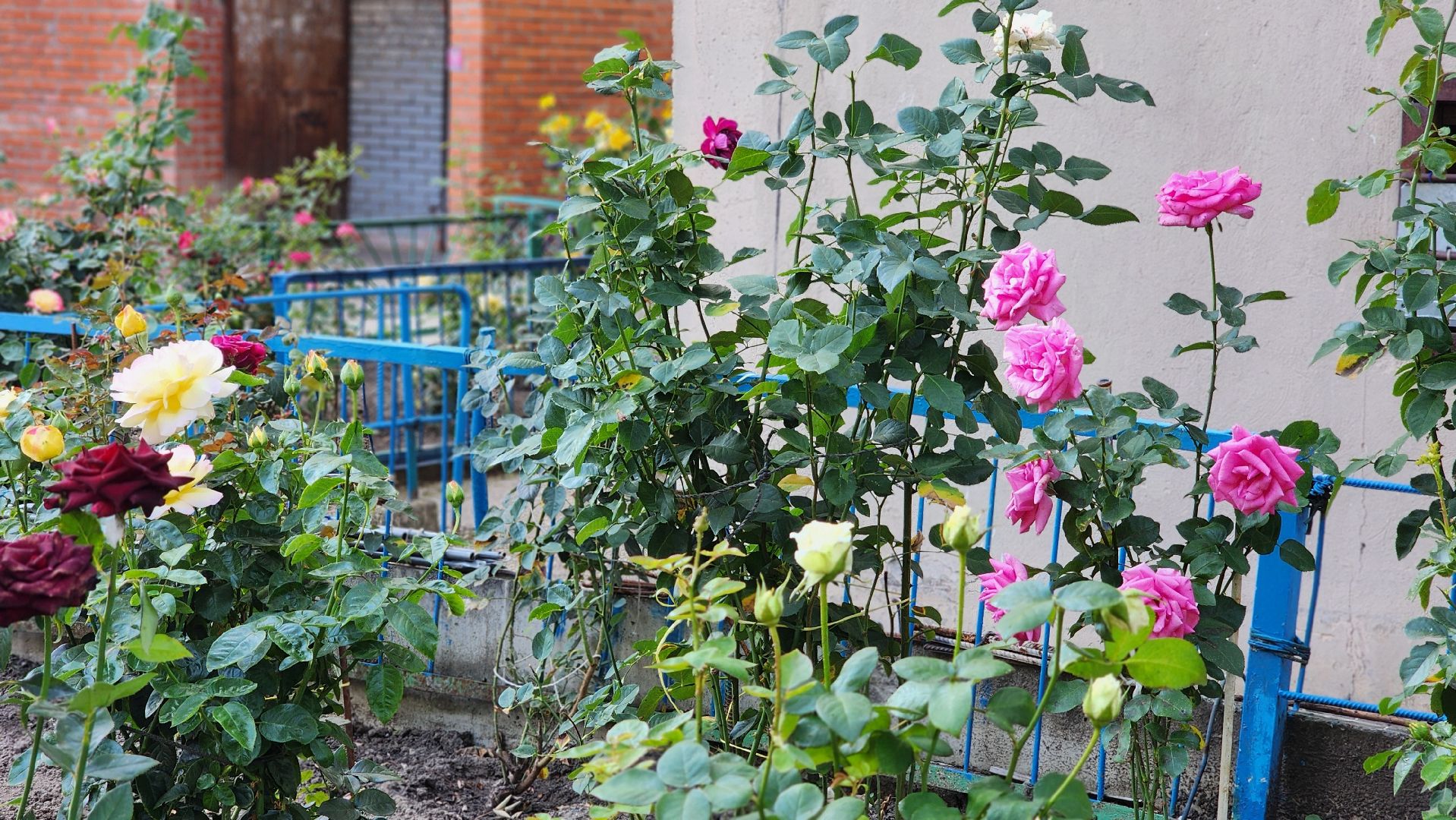 Протвино, благоустройство, обход территории, Городские пространства, Осмотр дворов,