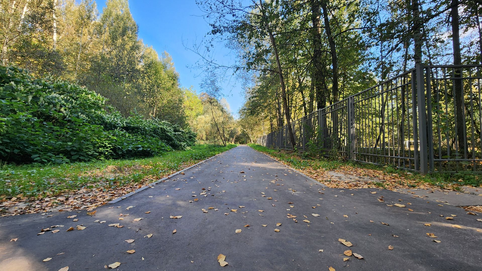 Протвино, благоустройство, обход территории, Городские пространства, Осмотр дворов,