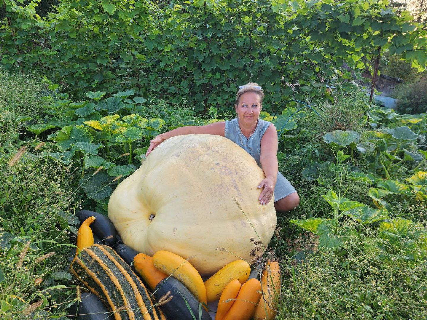 можайск, можайский городской округ, подмосковье, овощи-гиганты, урожай, урожай 2024, помощь, акция, доброе дело, губернатор, благотворительность, сельское хозяйство,