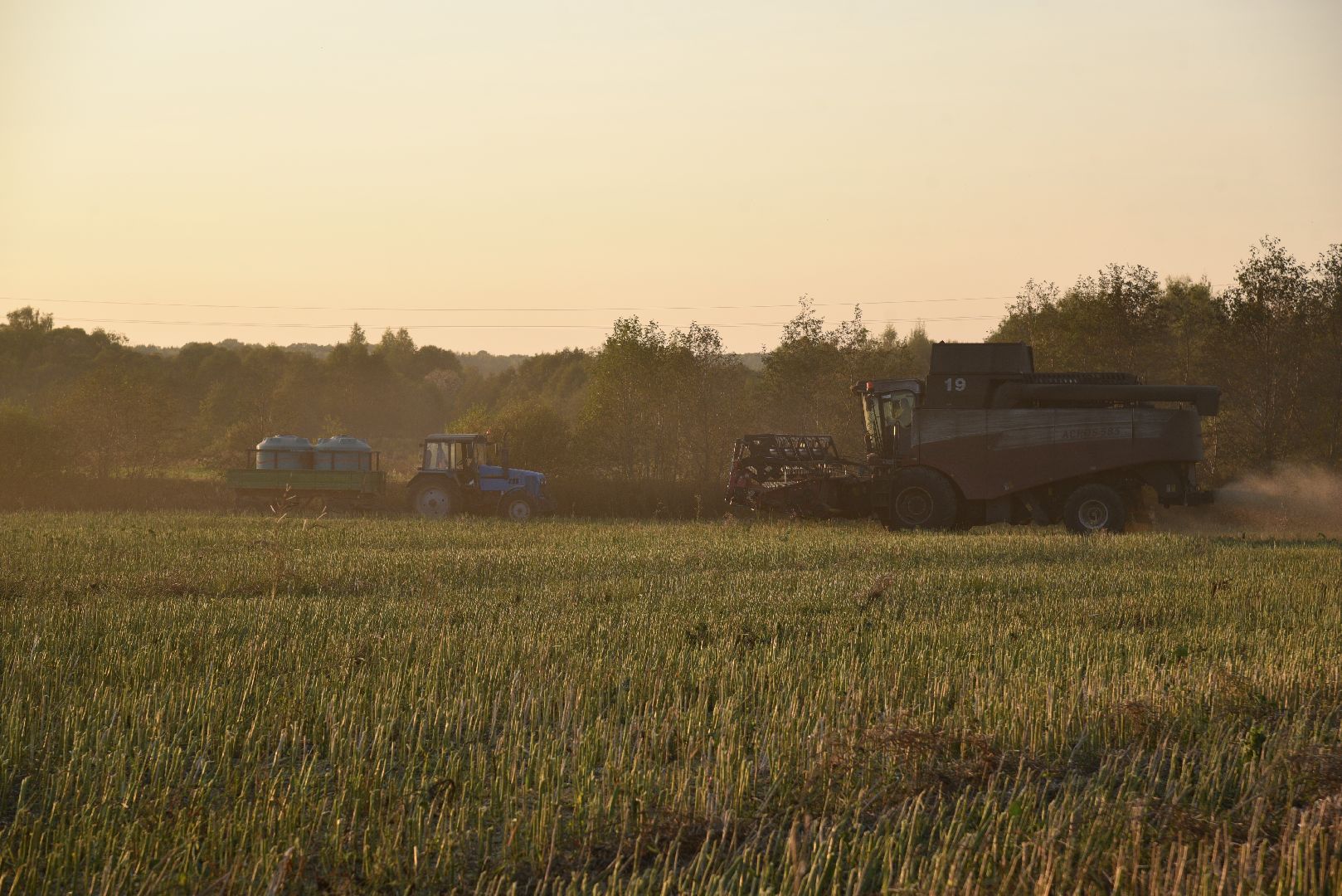 лотошино, урожай 2024, сельское хозяйство,