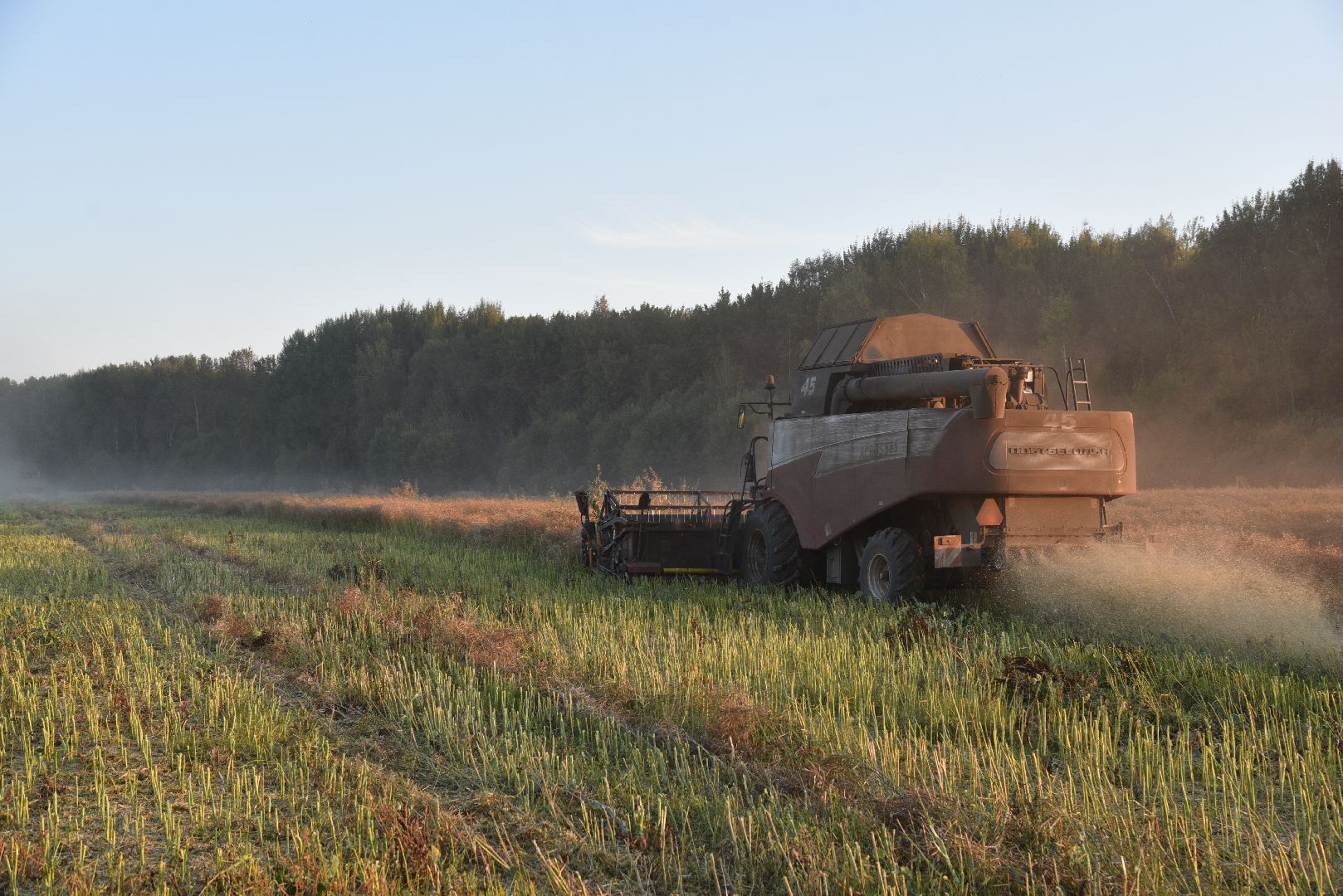 лотошино, урожай 2024, сельское хозяйство,