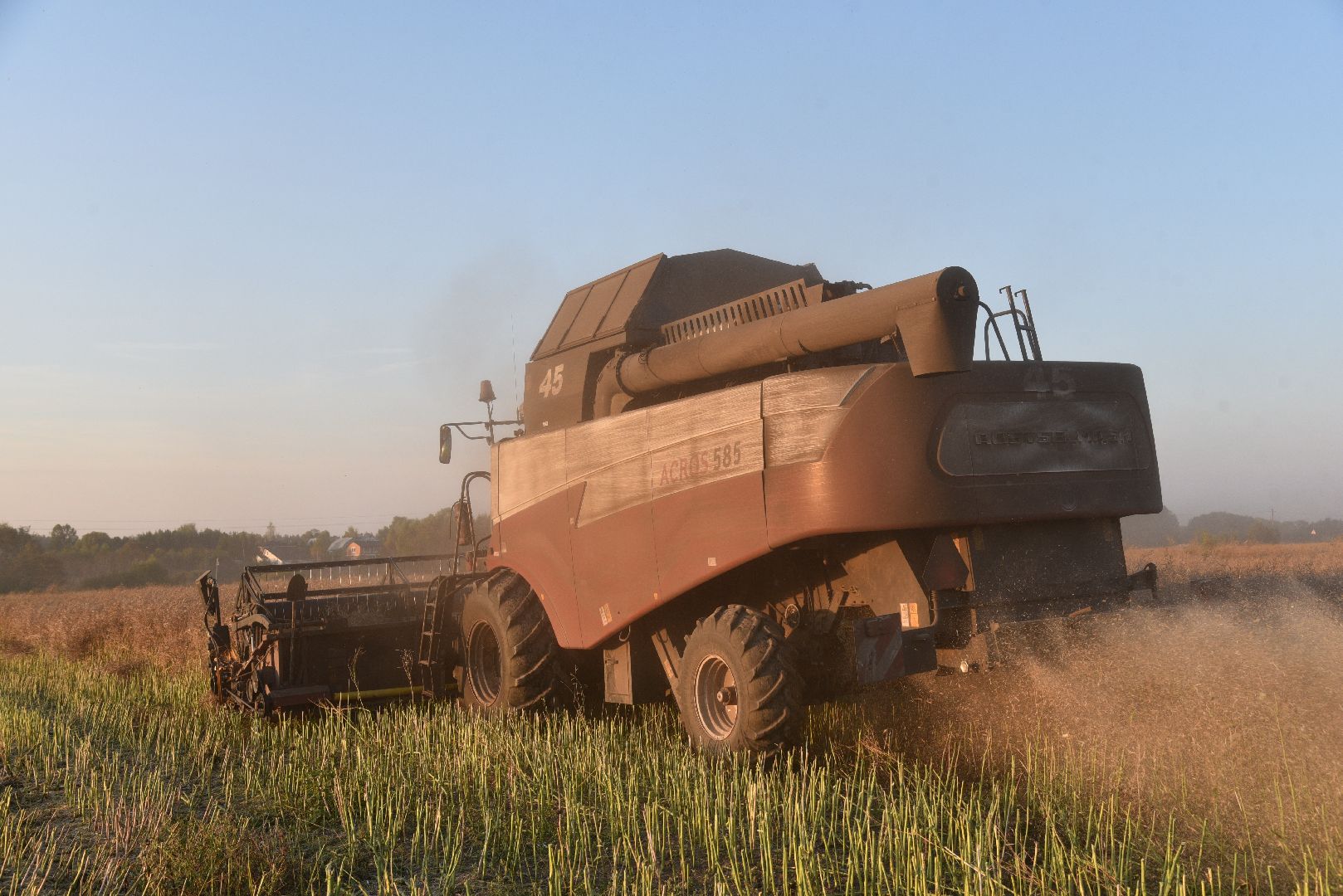 лотошино, урожай 2024, сельское хозяйство,