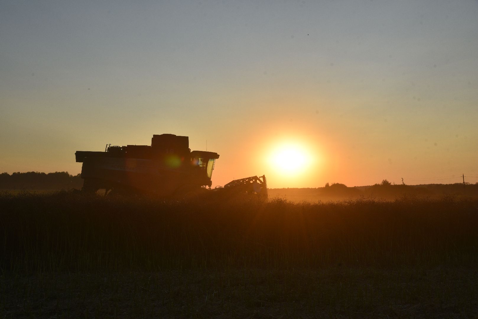лотошино, урожай 2024, сельское хозяйство,