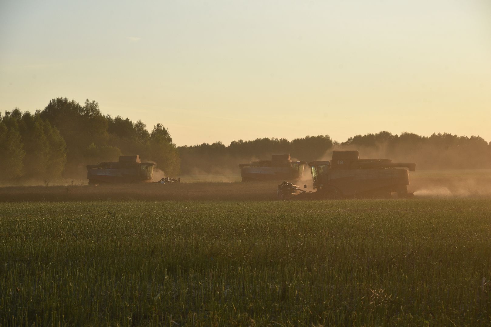 лотошино, урожай 2024, сельское хозяйство,