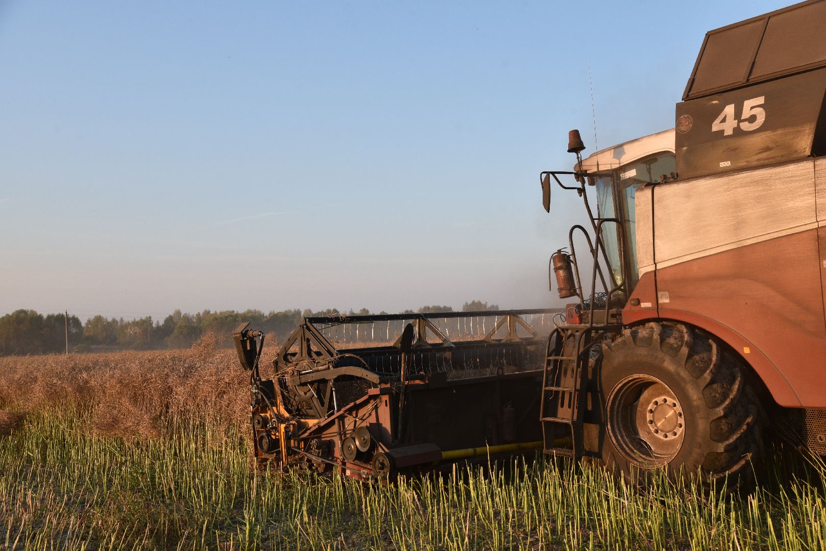лотошино, урожай 2024, сельское хозяйство,