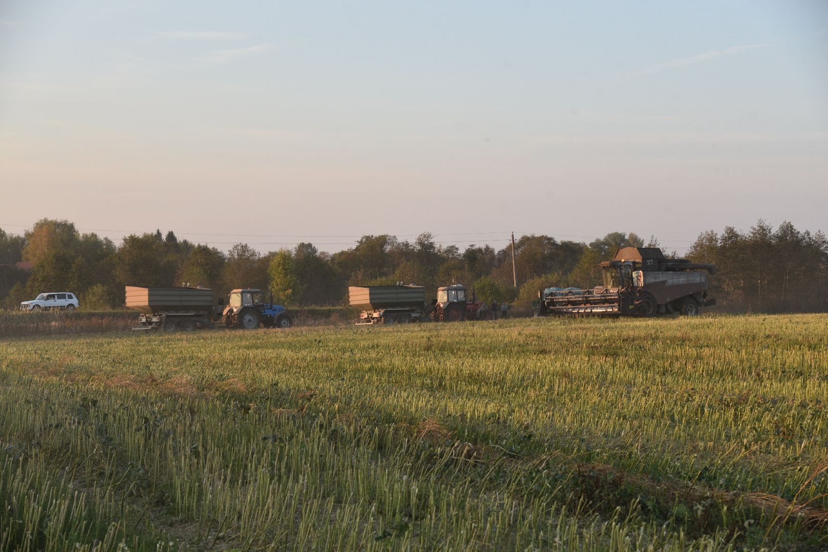 лотошино, урожай 2024, сельское хозяйство,