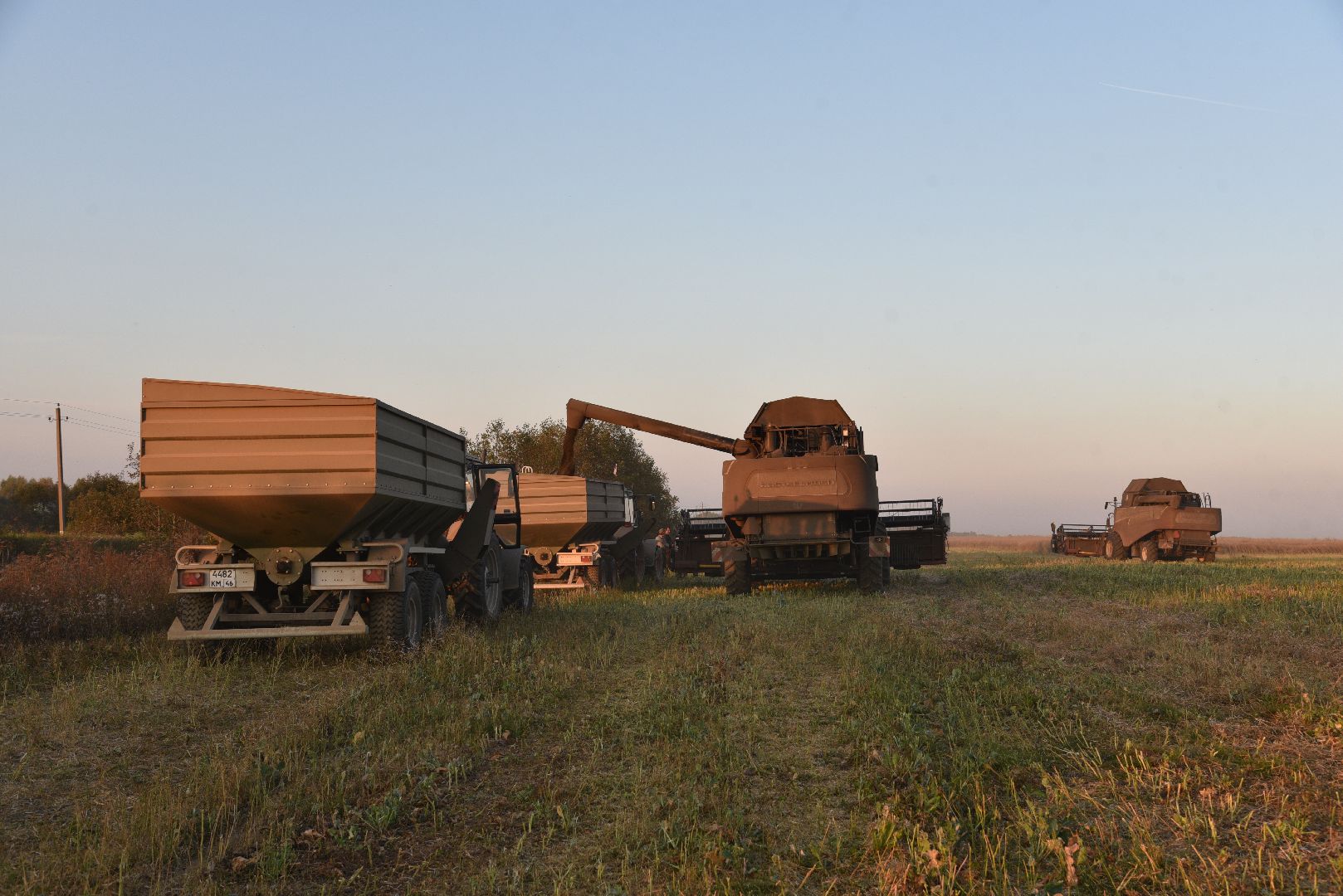 лотошино, урожай 2024, сельское хозяйство,