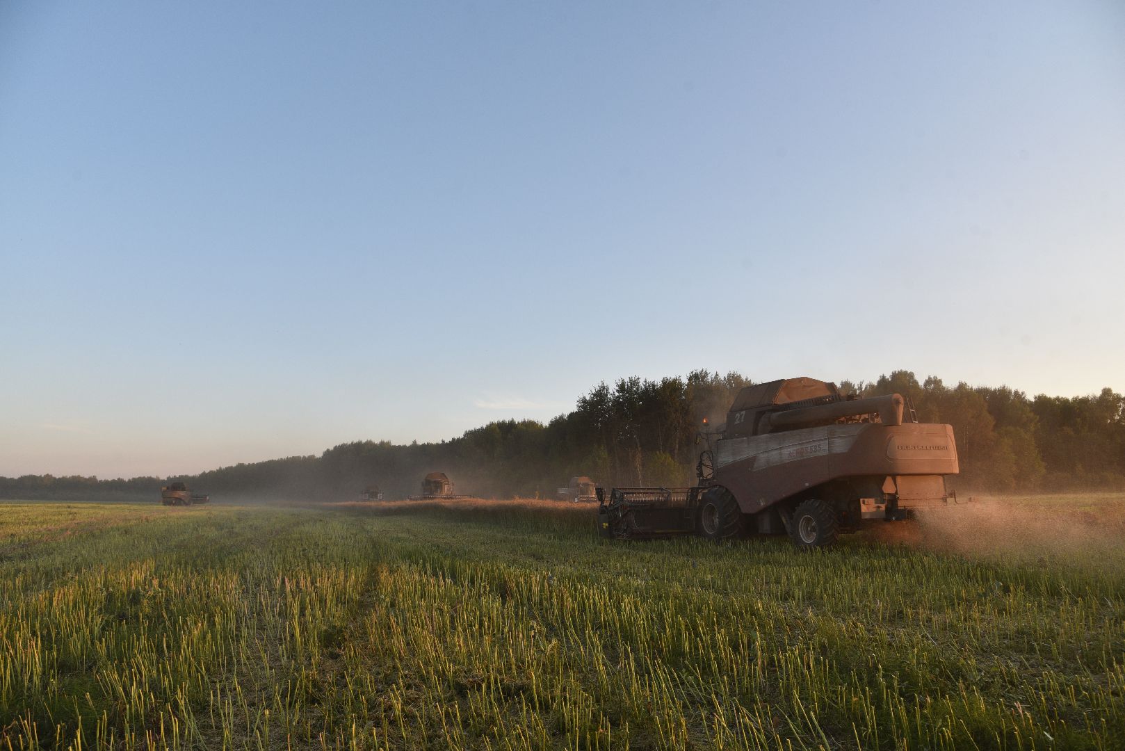 лотошино, урожай 2024, сельское хозяйство,