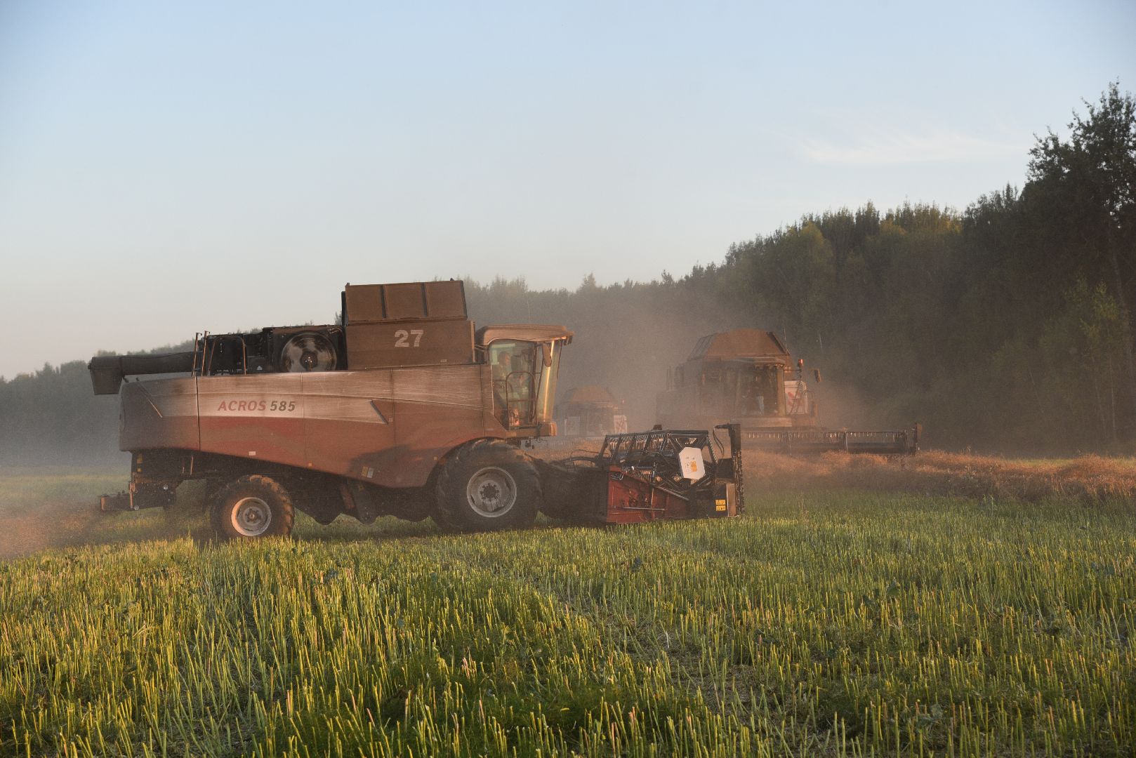 лотошино, урожай 2024, сельское хозяйство,