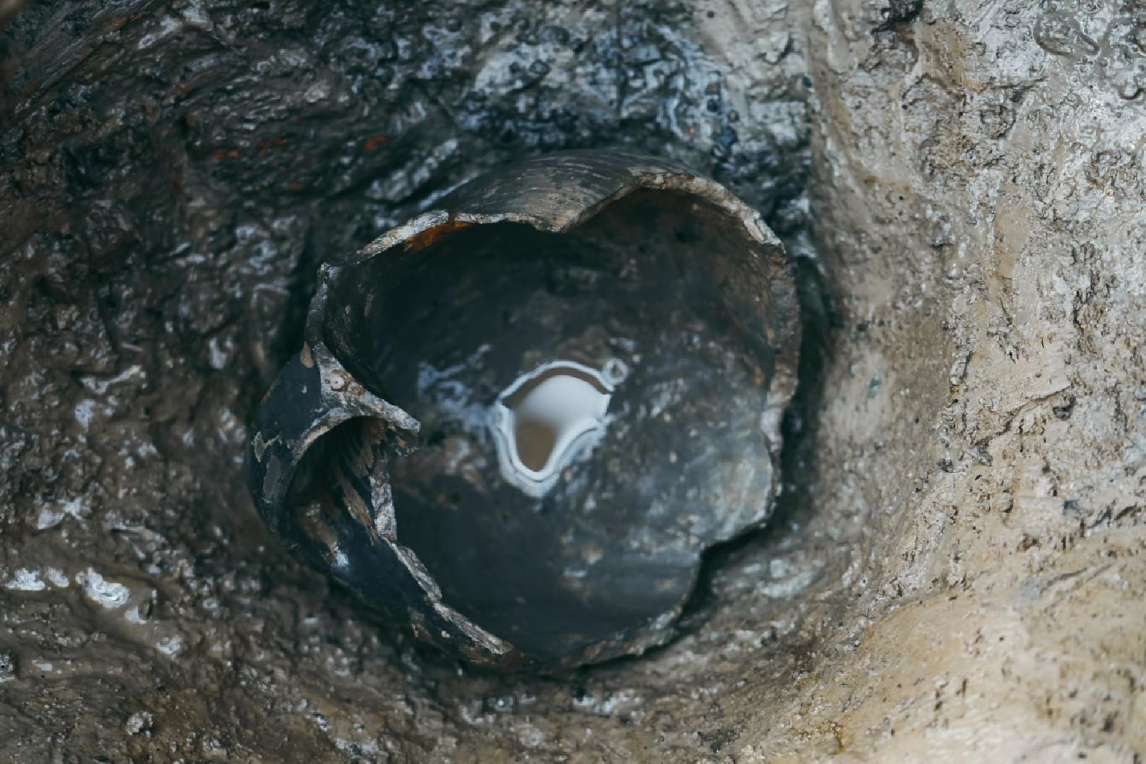 Археологи, Раскопки, Сергиев Посад, Троице-Сергиева лавра, История, Эксклюзив,