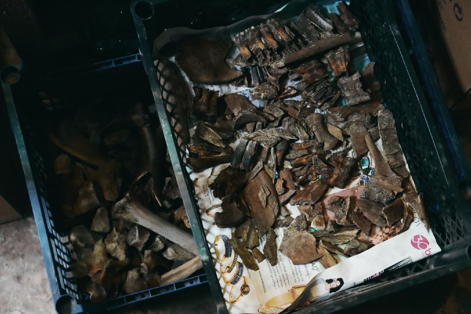 Археологи, Раскопки, Сергиев Посад, Троице-Сергиева лавра, История, Эксклюзив,