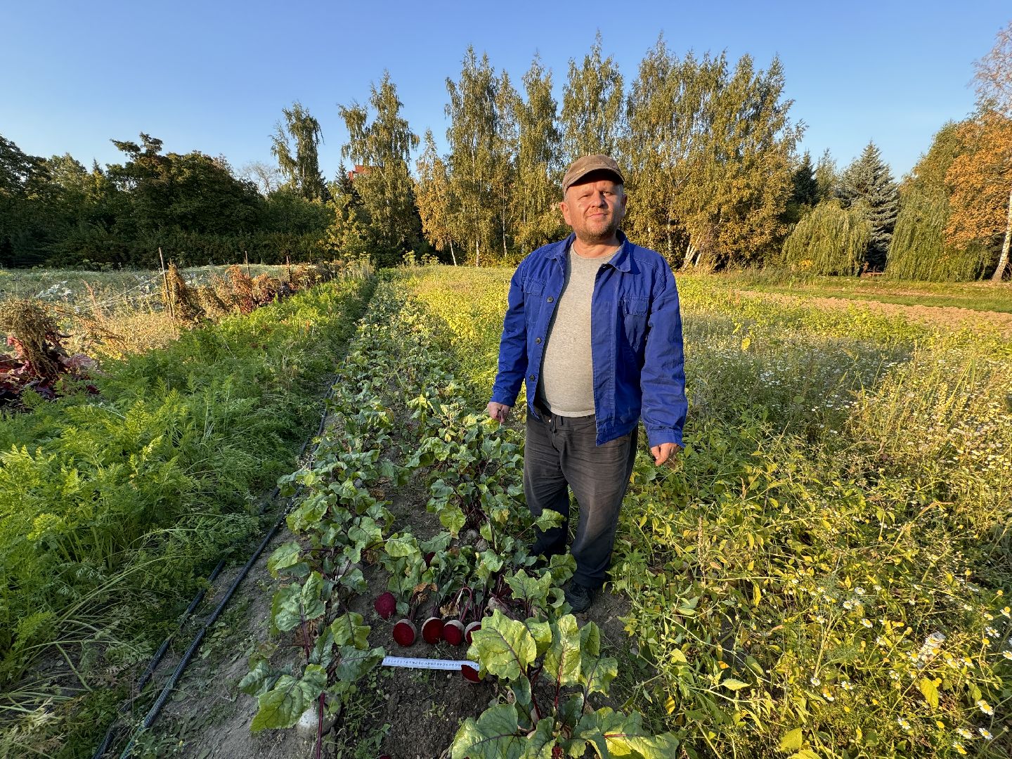 Федеральный научный центр овощеводства, ВНИИССОК, Продовольственная безопасность, Одинцово, Экономика,