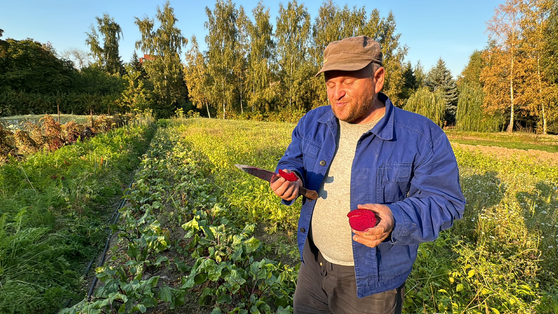 Федеральный научный центр овощеводства, ВНИИССОК, Продовольственная безопасность, Одинцово, Экономика,
