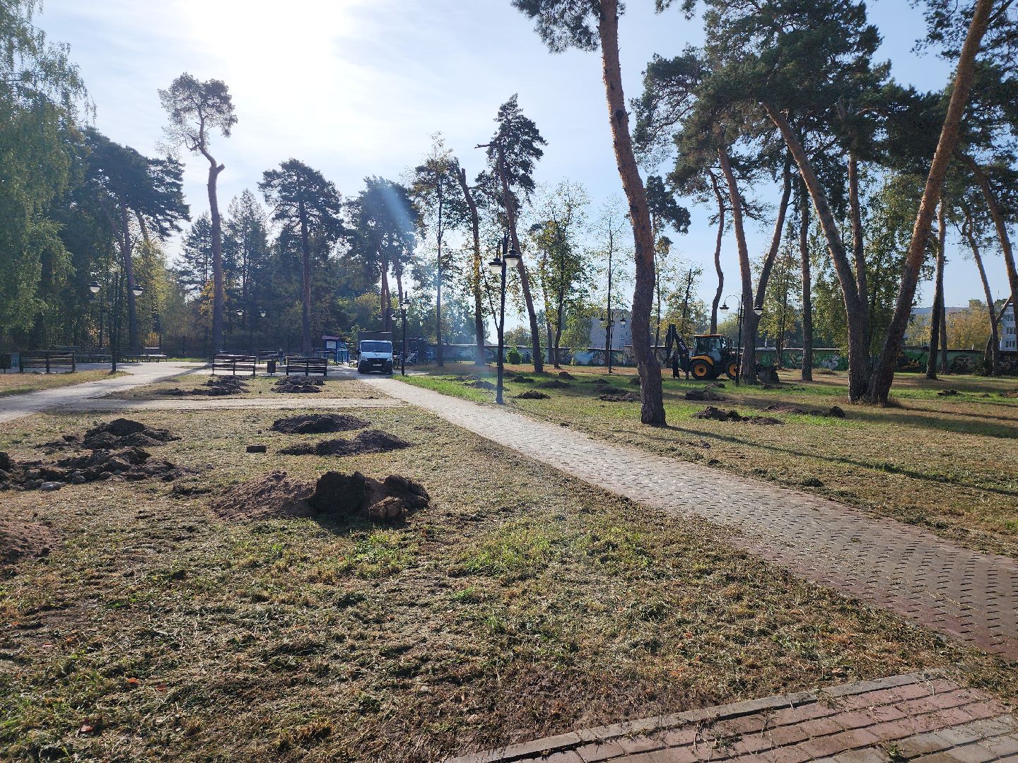 серпухов, подмосковье, акция, лес, экологическая акция,