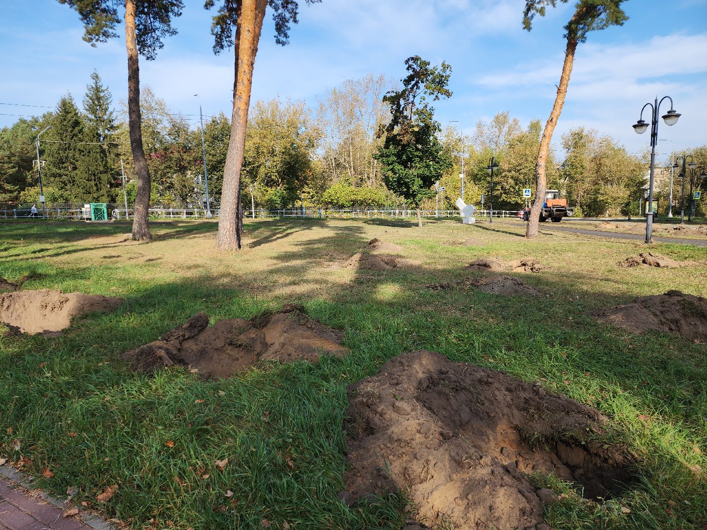 серпухов, подмосковье, акция, лес, экологическая акция,