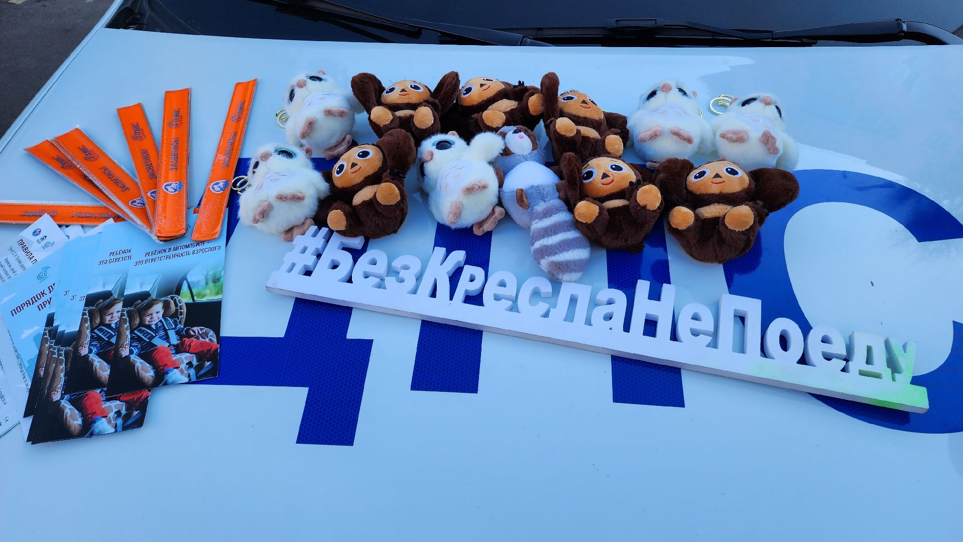 ОГИБДД, госавтоинспекторы, госавтоинспекция, Детское кресло, Ремень безопасности, Штраф, Домодедово, Подмосковье,