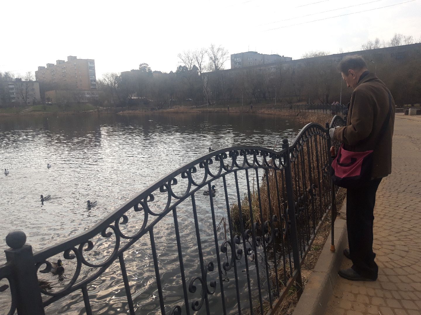 озеро, дети, пенсионеры,