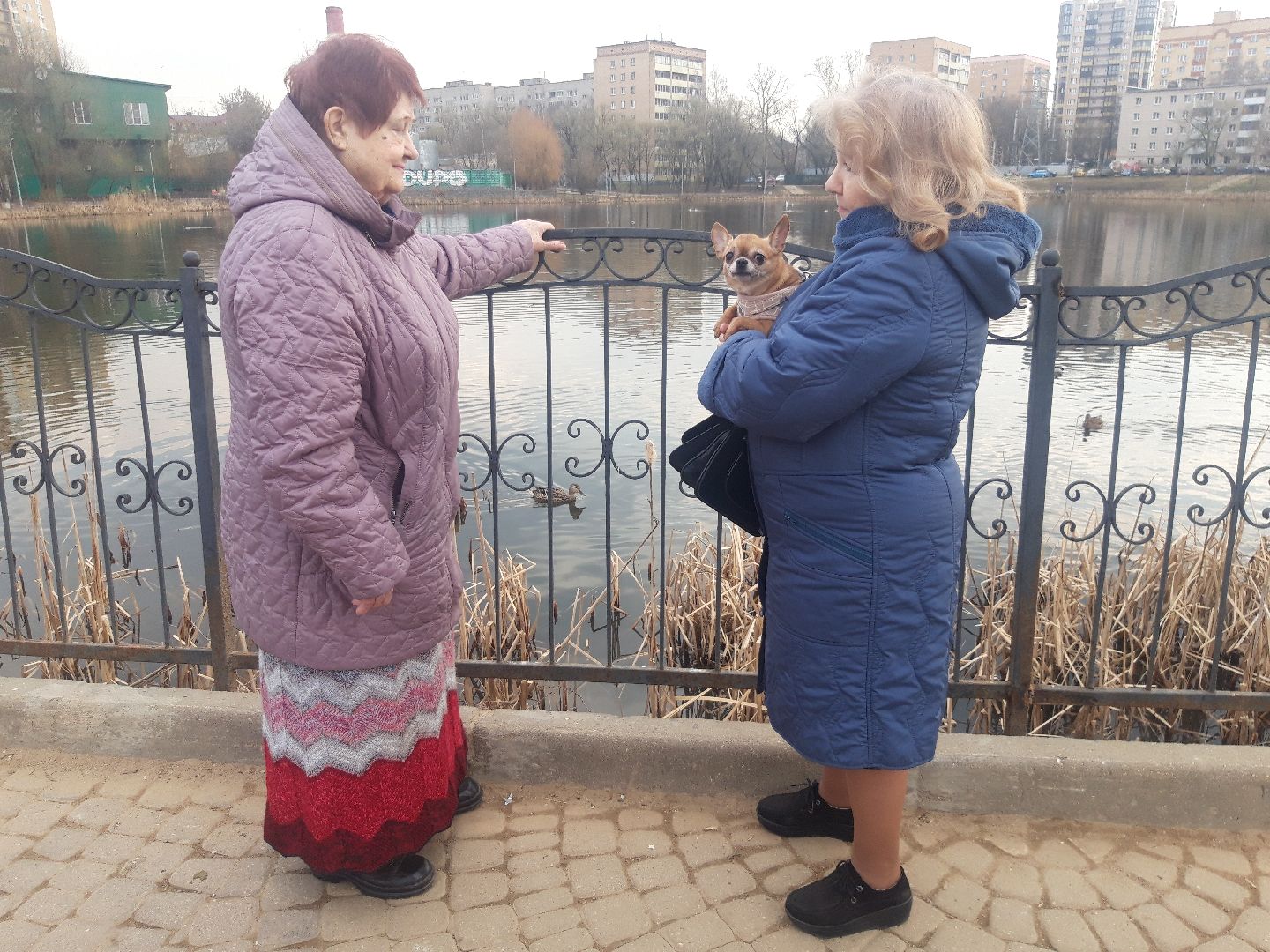 озеро, дети, пенсионеры,