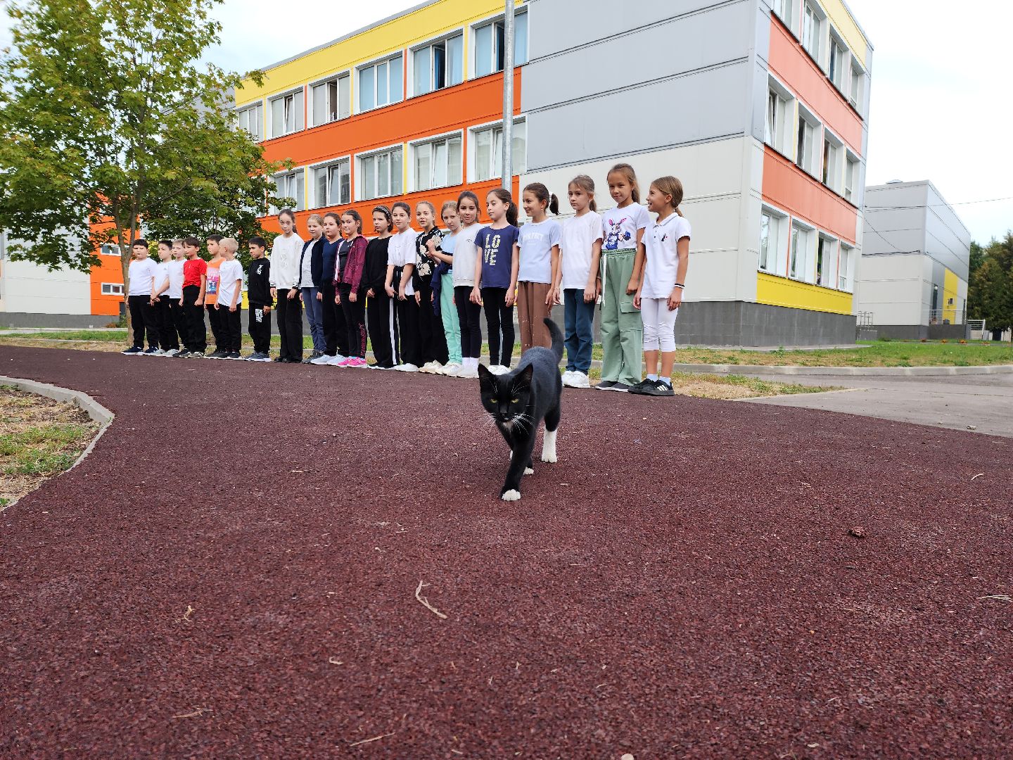образование, образование в подмосковье, образование рузский округ, новый учитель, новый учитель в школе, руза, рузский городской округ,