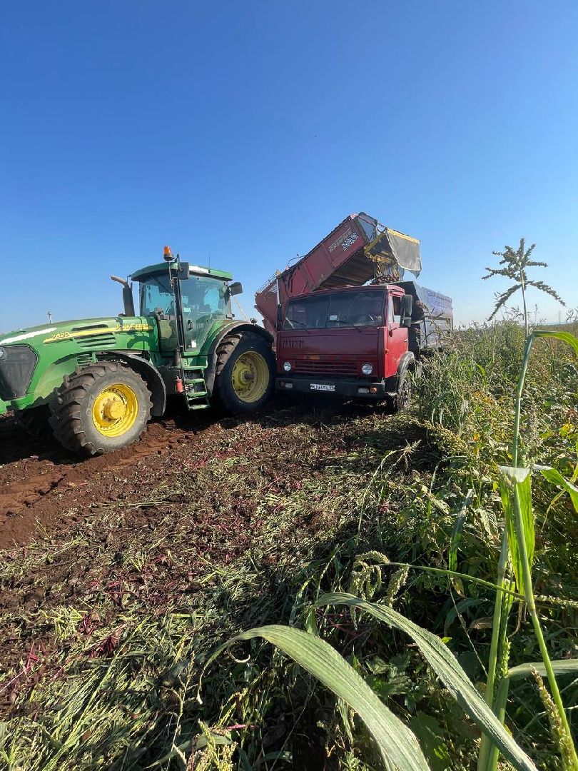 Дмитров, ЗАО Куликово, Минсельхоз,